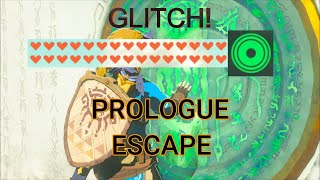 Escape the prologue glitch Zelda Tears of the Kingdom [upl. by Anaitsirc]