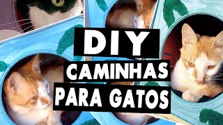 Como fazer casinha para gato e cachorro [upl. by Mit81]