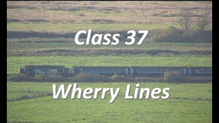 Class 37  Wherry Lines  Somerleyton to Oulton Broad North  Drone [upl. by Rosella479]