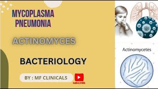 Actinomyces  Mycoplasma pneumonia mbbs bacteriology [upl. by Madian301]