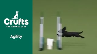 Agility Kennel Club British Open Final Part 2  ​Crufts 2022 [upl. by Homans502]