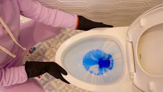 The Essential Guide to Cleaning a Toilet  StepbyStep Tutorial 🚽 ✨ [upl. by Joshua42]