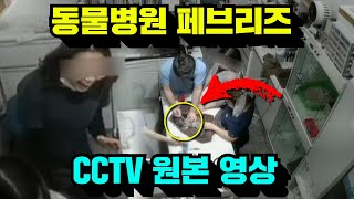 광주 동물병원 페브리즈 CCTV 원본 영상 [upl. by Airdnaz]