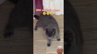 Billi ne khela game 😅😅shorts viral [upl. by Ellynad703]