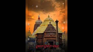 Aruna stambha re hata maridele tulasi tulasi baseSubas Dasodia bhajan song Jay Jagannath [upl. by Nwhas]