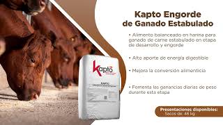 Aumente el rendimiento de su ganado con Kapto Engorde de Ganado Estabulado 🐄💪 [upl. by Odo]