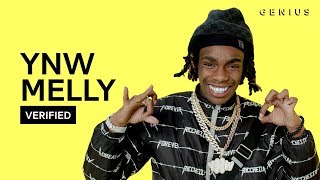 YNW Melly quotMixed Personalitiesquot Official Lyrics amp Meaning  Verified [upl. by Elo]