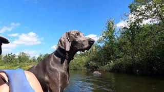 Springbrook WI Labor Day 2024 Trail riding and floating down the Namekagon river [upl. by Akimehs]