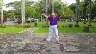 Taiji Qigong Shibashi  Set 3 [upl. by Annaeerb]