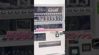 レモンスカッシュっておいしいよね straykids 스트레이키즈 ストレイキッズ 스키즈 skz スキズ自販機 ヒョンジン スキズ [upl. by Yatnuahs319]