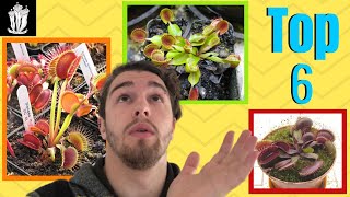 Most Famous Venus Flytraps  Top 6 [upl. by Veator44]