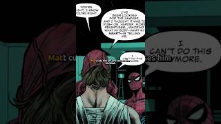 SpiderMan Confronts Daredevil [upl. by Anined]