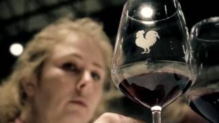 Chianti Classico Collection 2017  Official Trailer [upl. by Ferrand342]