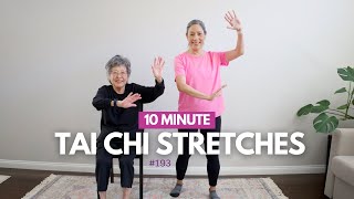 Do Tai Chi to Improve Balance Every Day  Gentle Stretches [upl. by Gaddi336]