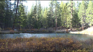 Fly Fishing The Metolius River Oregon [upl. by Hairas776]