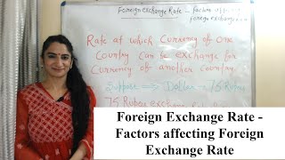 Foreign Exchange Rate  Factors affecting Foreign Exchange Rate [upl. by Ecirtel]