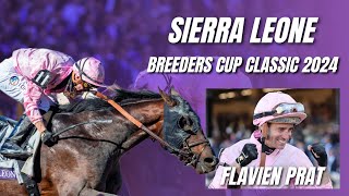 SIERRA LEONE  EL MEJOR CABALLO TRESAÑERO DEL 2024  BREEDERS CUP CLASSIC 2024 [upl. by Wiley]