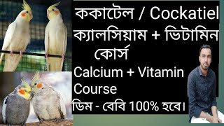 Cockatiel Calcium amp Vitamin Course [upl. by Kessia]