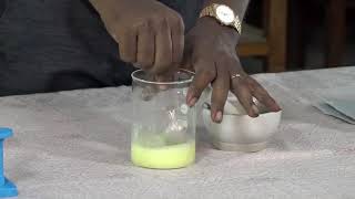 DNA isolation  tamil explanation [upl. by Kcirtapnaes]