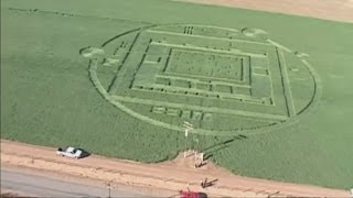 Crop circles in California Giant circles appear in Salinas Valley California USA [upl. by Icats815]