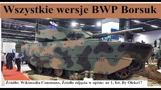 Wszystkie wersje BWP Borsuka [upl. by Kare]