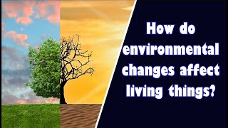 How do environmental changes affect living things Facts About Environmental Change Teaching Oasis [upl. by Beaulieu]