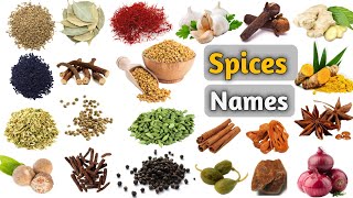 Spices Vocabulary ll Some Spices name In English With Pictures [upl. by Schonfield]