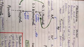 Arsenic poisoning mechanism [upl. by Vokay]