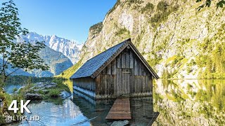 Obersee 4K  One of the most beautiful lakes in Germany [upl. by Vivi37]