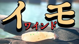 ワインド釣法にゲーリーの神マテリアルは最強説【バス釣り】 [upl. by Eah]