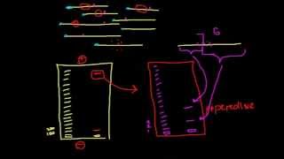 Modification interference assays [upl. by Avin]