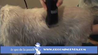 How To Groom A WestieTrim The Traditional West Highland TerrierCut With Andis Clippers [upl. by Pierre]