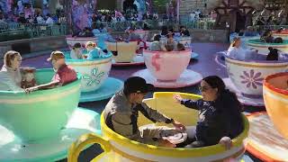 Jackson Jon Larson Disneyland Tea Cups 13124 [upl. by Territus]