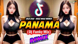 ZILE ZILE  MILE MILE REMIX  DJ MATTEO PANAMA  FUNKY MIX FULL BASS  DJ BHARZ [upl. by Reynold]