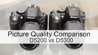 Nikon D5200 vs Nikon D5300 Picture Quality Comparison [upl. by Clellan]