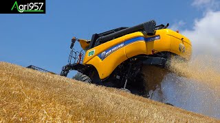 TREBBIATURA FRUMENTO SU FORTI PENDENZE NEW HOLLAND CX 590 HILLSIDE amp TESTATA VARIFEED 6m [upl. by Aivonas]