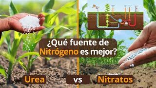 🌽 ¿Cuál es el Mejor  Urea vs Nitratos  Ciclo Del Nitrógeno  Rentabilidad del Campo [upl. by Violetta923]