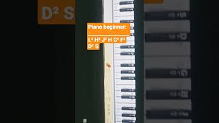 Piano beginner [upl. by Anirroc404]