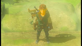 ZELDA BREATH OF THE WILD STREAM master mode zelda episode 10 700 sub special [upl. by Gianina56]