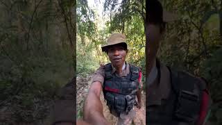 Namtak Dihing Patkai National Park ⛰️ Hills Area PatrollingDuty  forestbattalion afpf police [upl. by Hazrit]