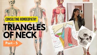 Triangles of Neck  Part5  Consulting Homoeopathy  Shreyan Tayal [upl. by Eniortna]