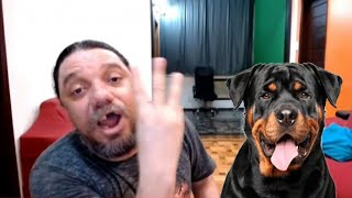 BLUEZAO ASSUME TER TENTADO SACRIF1CAR SEU CACHORRO RAULF TRÊS VEZES [upl. by Nollid]