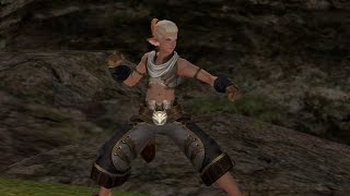 Lineage 2  Male Ertheias  New Class Gunfighter  Dev mod [upl. by Kcoj586]