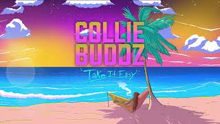 Collie Buddz  Money Up ft Keznamdi [upl. by Reerg]