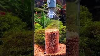 Aquarium Gravel Cleaner shorts [upl. by Adyam]