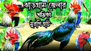 কম দামের মুরগি নিয়ে আজকের ভিডিও Todays video is about cheap chicken [upl. by Bowe907]