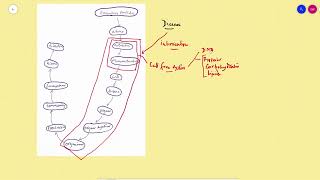 Experimental pharmacology an introduction [upl. by Atnod838]