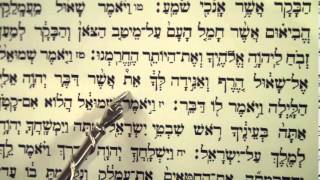 Haftorah Haftarah Reading for Parsha Zachor Amalek before Purim הפטרת זכור קריאה לפני פורים [upl. by Reiche]