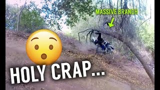 CLOTHESLINED BY A TREE BRANCH HILARIOUS FAIL [upl. by Garda]