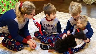 The Moment 2YearOld Heart Recipient Gets a Puppy [upl. by Oloap]